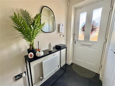 Picture 12